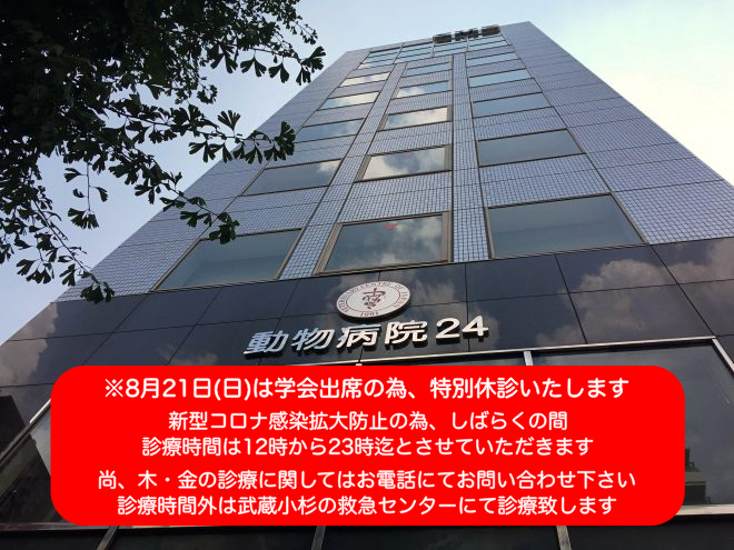 東京動物病院24_東京都品川区の動物病院
