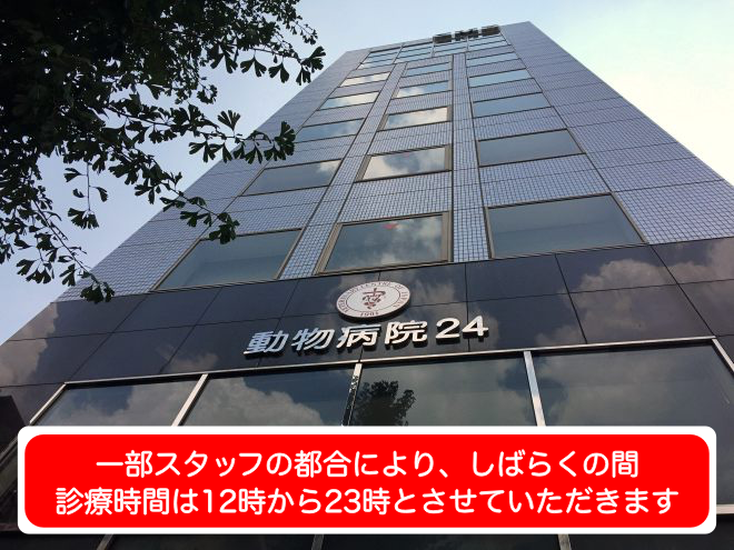 東京動物病院24_東京都品川区の動物病院