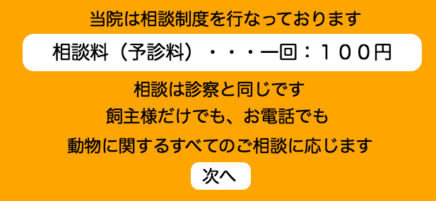 東京動物病院24